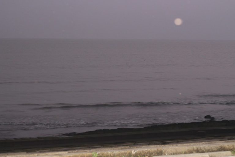 পর্যটনের সম্ভাবনাময়ী স্পট ফাতরার বন